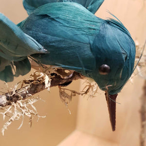 Teal Hummingbird with clip