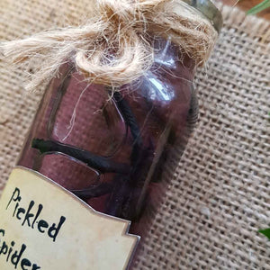 Bottled Pickled Spider (assorted medium) from The Potion Master