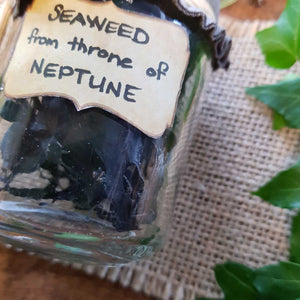 Bottled Seaweed from Throne of Neptune (assorted medium) from The Potion Master