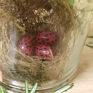 Full Nest of a Howling Hummingbird (assorted large) from The Potion Master