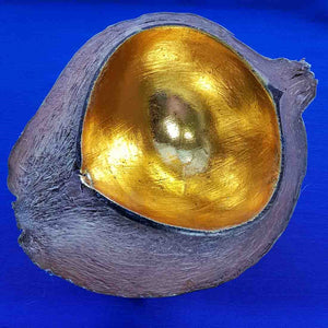 Coconut Gold Bowl (14x17ishcm) Large