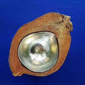 Coconut Silver Bowl (14x17ishcm) Large