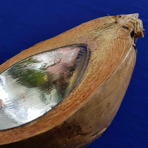 Coconut Silver Bowl (14x17ishcm) Large