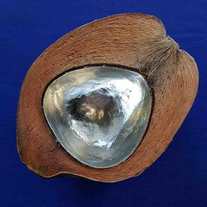 Coconut Silver Bowl (22x20ishcm) Large