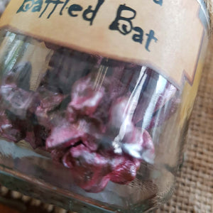 Bottled Brains of a Baffled Bat (assorted medium) from The Potion Master