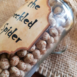 Bottled Eggs of the Giant Speckled Spider (assorted medium) from The Potion Master