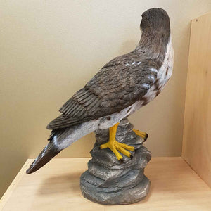 Falcon Statue (suitable for indoor & outdoor) approx 31x18x40cm polyresin)