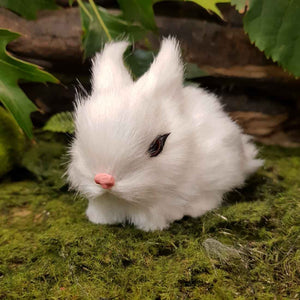 Rabbit (white medium)