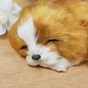 Brown Sleeping Dog