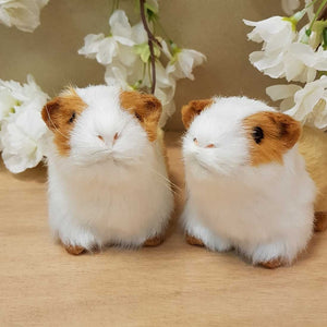 Guinea Pig