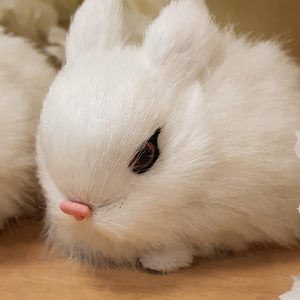 White Rabbit (approx. 6x9cm)
