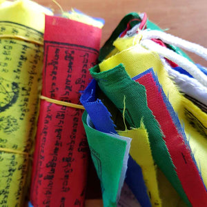 Tibetan Buddhist Prayer Flag (approx. 10x11cm and about 1.2m in length)