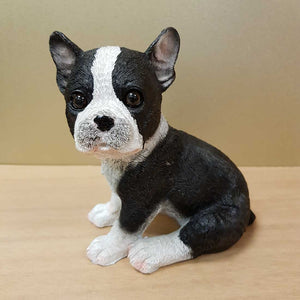 Sitting Boston Terrier (approx. 14x10x14cm)