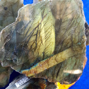 Labradorite Partially Polished sLAB (assorted. approx. 6.7-11.6x4.1-8.2x1.3-3.3cm)