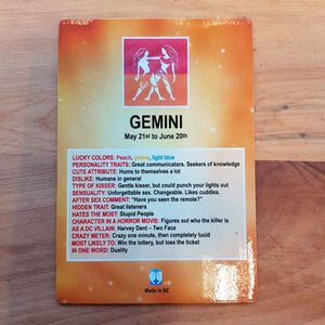 Amusing Gemini Zodiac Magnet (approx. 13x9cm)