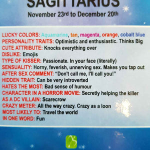 Amusing Sagittarius Zodiac Magnet (approx. 13x9cm)