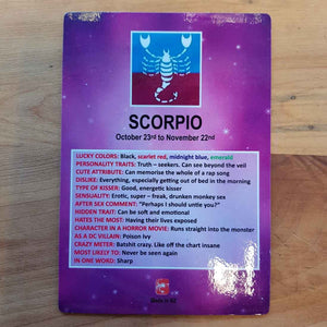 Amusing Scorpio Zodiac Magnet (approx. 13x9cm)