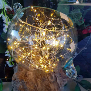 Gold Seed Fairy Lights (indoor use only 100 LEDs on a 10m silver wire plug in)