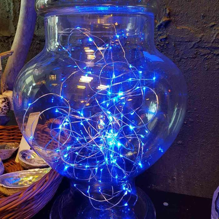 Blue Seed Fairy Lights (indoor use only 100 LEDs on a 10m silver wire plug in)