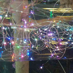 Colour Changing Seed Fairy Lights (indoor use only 100 LEDs on a 10m silver wire plug in)