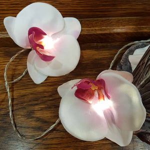 Orchid Flower Fairy Lights (indoor use only 10 warm LED lights on a 3m wire)