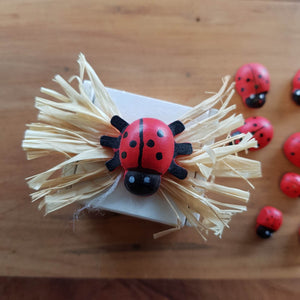 Ladybird Trinket Box