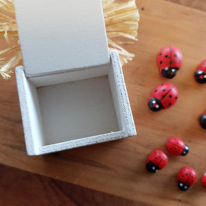 Ladybird Trinket Box