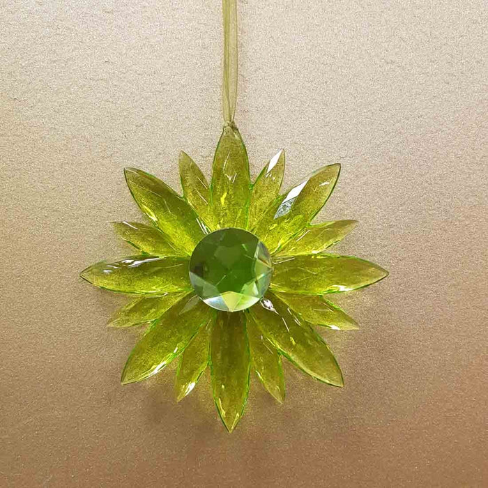 Hanging Daisy (assorted colours approx. 12cm diameter)