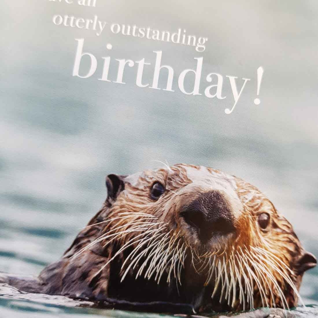 Have An Otterly Outstanding Birthday Greeting Card Inspire Me Online