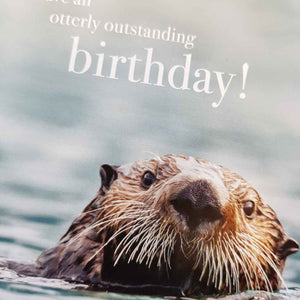 Have an Otterly Outstanding Birthday Greeting Card