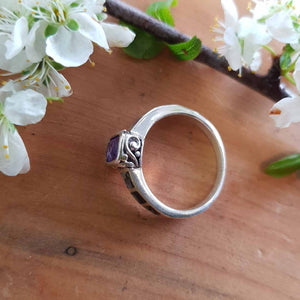 Amethyst & NZ Paua Ring. (sterling silver)