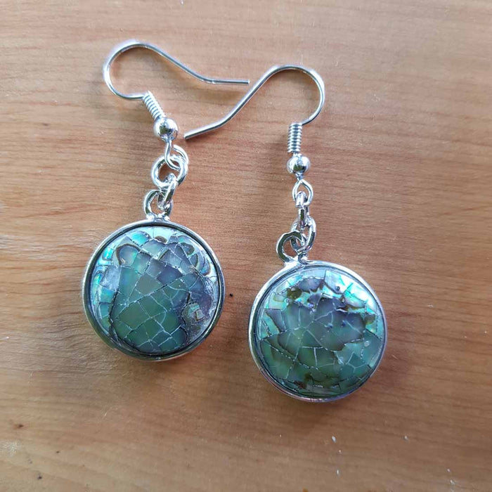 Paua Earrings (assorted silver plated)