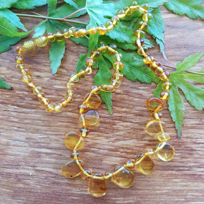 Baltic Amber Necklace. (adult. assorted)