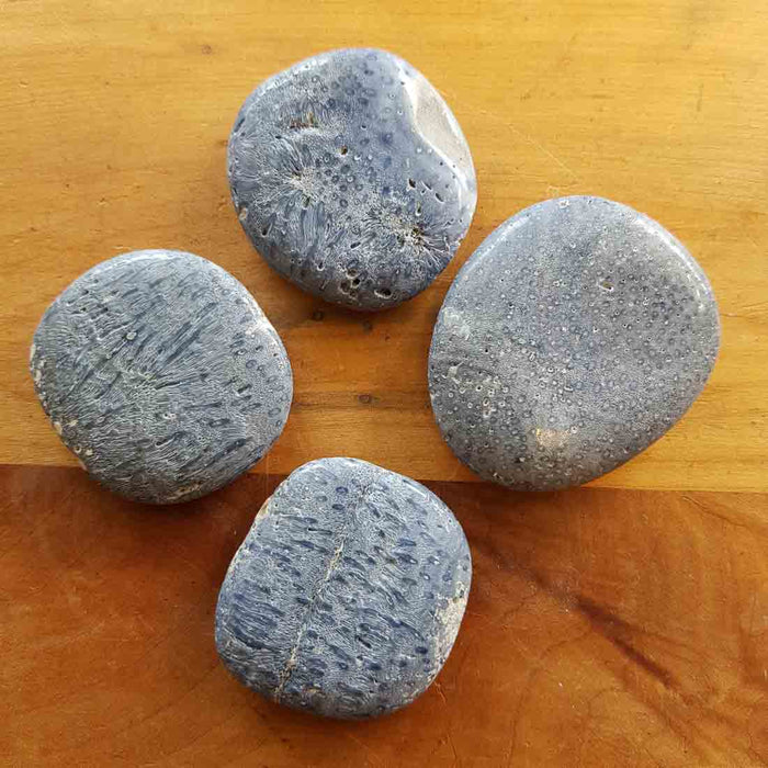 Blue Coral Flatstone (assorted. approx. 3.5-4.5x3-3.5cm)