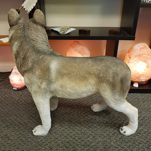 Standing Wolf Statue (approx. 59x56x32cm)