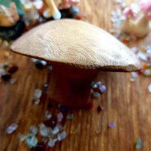 Puriri Mushroom Hand Crafted in New Zealand from 1000 year old Puriri from the Feilding Area (approx.6x6.5x4cm)