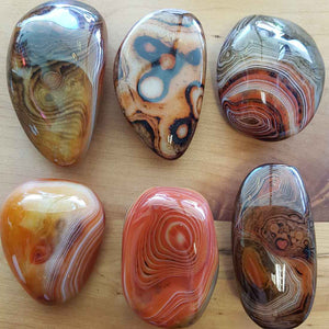 Agate Palm Stone from Madagascar