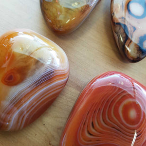 Agate Palm Stone from Madagascar