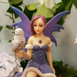 Snow Fairy with her Owl