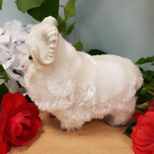 White Merino Sheep (approx. 11x12x6cm)