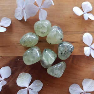 Prehnite with Inclusions Tumble (assorted)