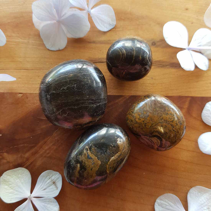 Stromatolite Tumble (assorted)