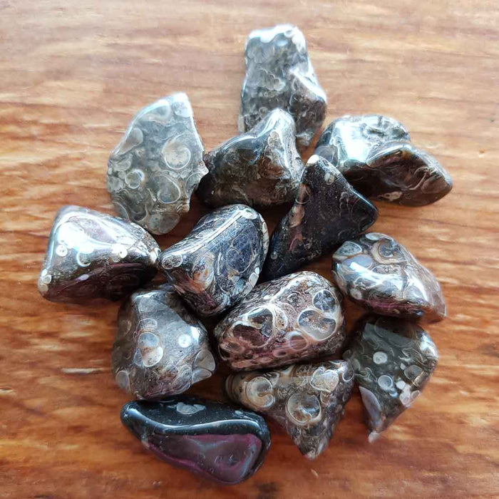 Turitella Agate Tumble (assorted)