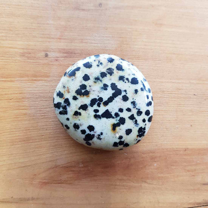 Dalmation Jasper Flat Stone (assorted. approx. 4-4.5x3-3.5cm)