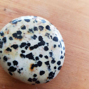 Dalmation Jasper Flat Stone (assorted. approx. 4-4.5x3-3.5cm)