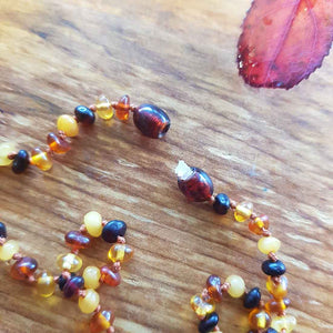 Baltic Amber Polished Chip Necklace. (child. assorted colours)