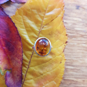 Amber Ring (sterling silver).