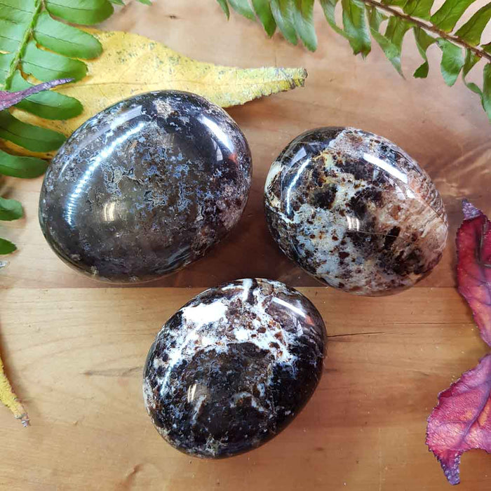 Black Opal Palm Stone (assorted approx. 6.5x5.5cm)