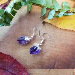 Amethyst Natural Point Earrings Dipped in White Metal (assorted)