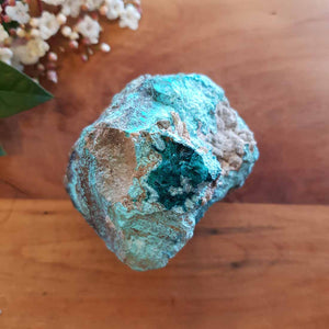 Dioptase with Chrysocolla on Matrix. (approx. 6.5x5cm)